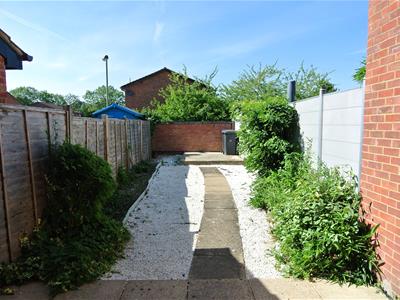 Picture 11